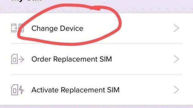 Ultra Paygo 實體卡轉esim卡紀錄